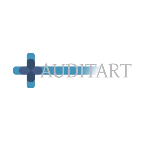 Auditart